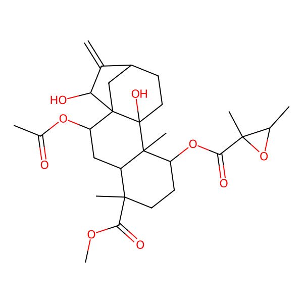 2D Structure of (2-Acetyloxy-10,15-dihydroxy-5-methoxycarbonyl-5,9-dimethyl-14-methylidene-8-tetracyclo[11.2.1.01,10.04,9]hexadecanyl) 2,3-dimethyloxirane-2-carboxylate