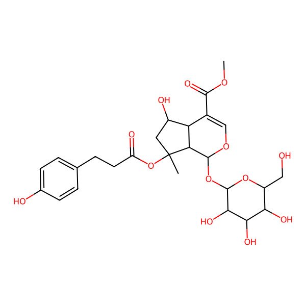 2D Structure of methyl (1S,4aS,5R,7S,7aS)-5-hydroxy-7-[3-(4-hydroxyphenyl)propanoyloxy]-7-methyl-1-[(2S,3R,4S,5S,6R)-3,4,5-trihydroxy-6-(hydroxymethyl)oxan-2-yl]oxy-4a,5,6,7a-tetrahydro-1H-cyclopenta[c]pyran-4-carboxylate