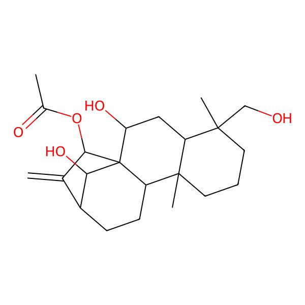 2D Structure of [(1S,2R,4S,5S,9R,10S,15R,16R)-2,16-dihydroxy-5-(hydroxymethyl)-5,9-dimethyl-14-methylidene-15-tetracyclo[11.2.1.01,10.04,9]hexadecanyl] acetate