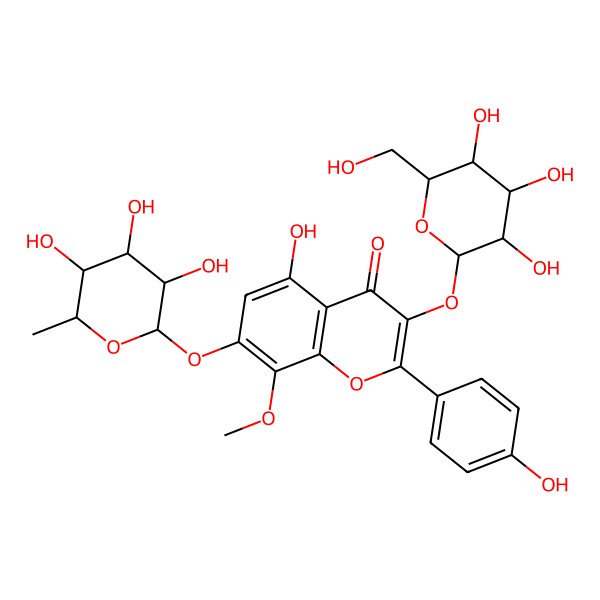 2D Structure of 5-hydroxy-2-(4-hydroxyphenyl)-8-methoxy-3-[(2S,3R,4S,5S,6R)-3,4,5-trihydroxy-6-(hydroxymethyl)oxan-2-yl]oxy-7-[(2S,3S,4S,5S,6R)-3,4,5-trihydroxy-6-methyloxan-2-yl]oxychromen-4-one