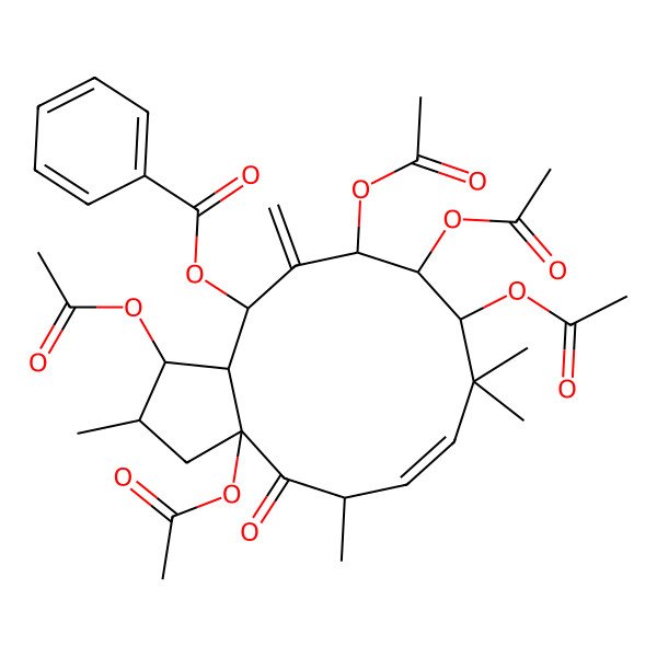 2D Structure of (1,3a,9,10,11-pentaacetyloxy-2,5,8,8-tetramethyl-12-methylidene-4-oxo-2,3,5,9,10,11,13,13a-octahydro-1H-cyclopenta[12]annulen-13-yl) benzoate