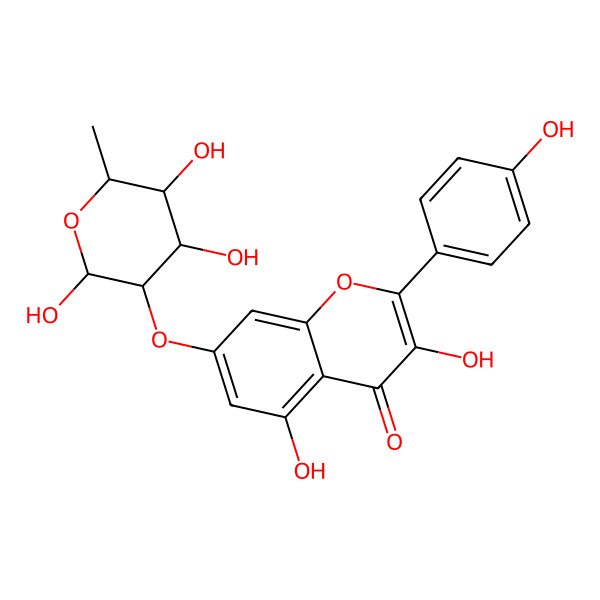 2D Structure of 3,5-dihydroxy-2-(4-hydroxyphenyl)-7-[(2R,3R,4S,5R,6S)-2,4,5-trihydroxy-6-methyloxan-3-yl]oxychromen-4-one