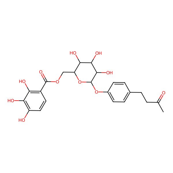 2D Structure of [(2R,3S,4S,5R,6S)-3,4,5-trihydroxy-6-[4-(3-oxobutyl)phenoxy]oxan-2-yl]methyl 2,3,4-trihydroxybenzoate