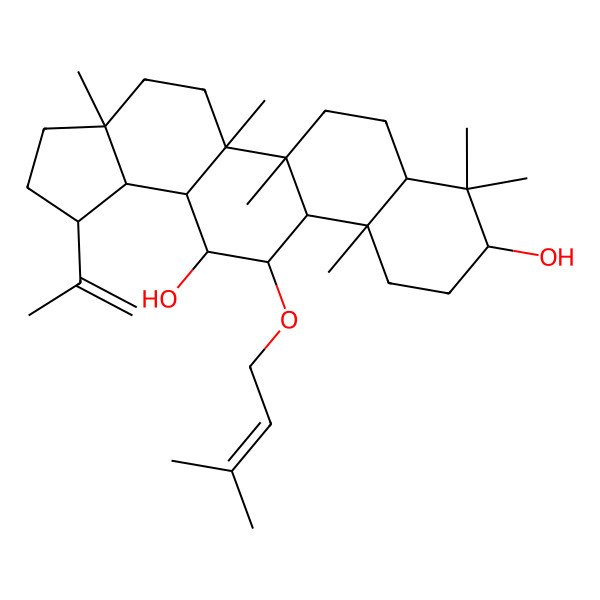 2D Structure of (1R,3aR,5aR,5bR,7aR,9S,11aS,11bR,13aR,13bR)-3a,5a,5b,8,8,11a-hexamethyl-12-(3-methylbut-2-enoxy)-1-prop-1-en-2-yl-1,2,3,4,5,6,7,7a,9,10,11,11b,12,13,13a,13b-hexadecahydrocyclopenta[a]chrysene-9,13-diol