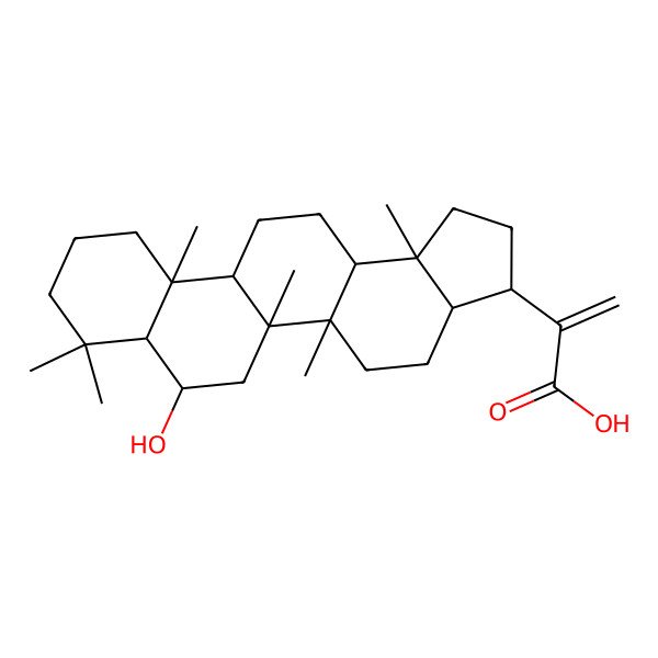2D Structure of 2-[(3aS,5aR,5bR,7S,7aS,11aR,11bR,13aR,13bS)-7-hydroxy-5a,5b,8,8,11a,13b-hexamethyl-1,2,3,3a,4,5,6,7,7a,9,10,11,11b,12,13,13a-hexadecahydrocyclopenta[a]chrysen-3-yl]prop-2-enoic acid