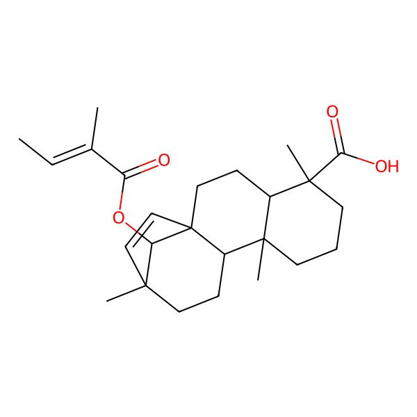 2D Structure of (1R,4S,5R,9S,10S,13R,16S)-5,9,13-trimethyl-16-[(E)-2-methylbut-2-enoyl]oxytetracyclo[11.2.1.01,10.04,9]hexadec-14-ene-5-carboxylic acid