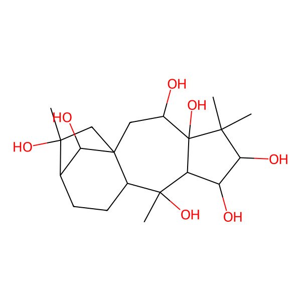 2D Structure of (1S,3R,4R,6R,7S,8S,9R,10R,13R,14R,16R)-5,5,9,14-tetramethyltetracyclo[11.2.1.01,10.04,8]hexadecane-3,4,6,7,9,14,16-heptol