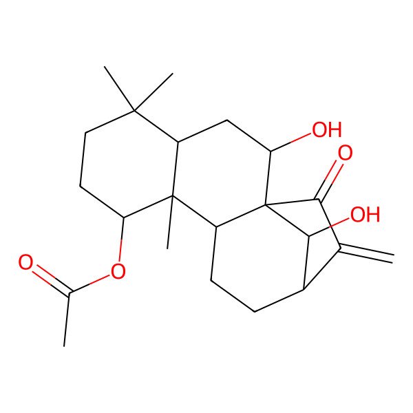 2D Structure of (2,16-Dihydroxy-5,5,9-trimethyl-14-methylidene-15-oxo-8-tetracyclo[11.2.1.01,10.04,9]hexadecanyl) acetate