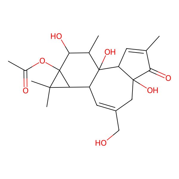 2D Structure of [(1S,2R,6R,10R,11R,13S,14R,15R)-1,6,14-trihydroxy-8-(hydroxymethyl)-4,12,12,15-tetramethyl-5-oxo-13-tetracyclo[8.5.0.02,6.011,13]pentadeca-3,8-dienyl] acetate