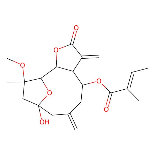 2D Structure of (11-Hydroxy-13-methoxy-13-methyl-5,9-dimethylidene-4-oxo-3,14-dioxatricyclo[9.2.1.02,6]tetradecan-7-yl) 2-methylbut-2-enoate