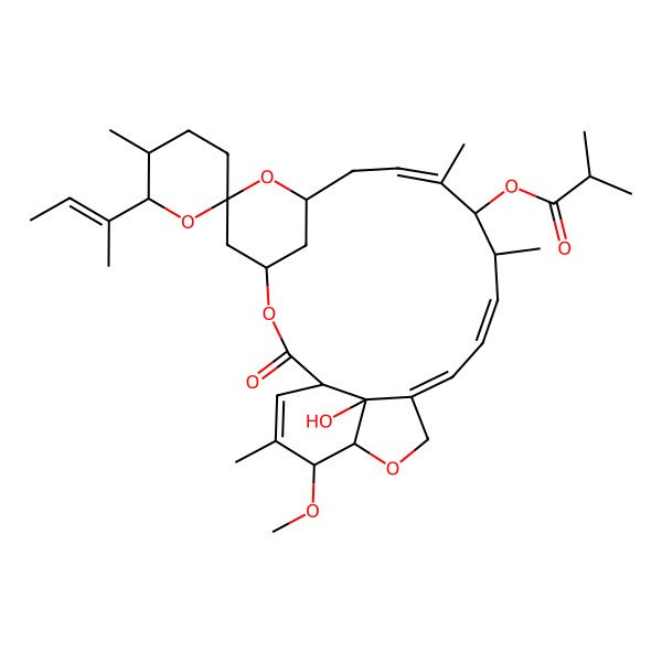 2D Structure of [(1R,4S,5'S,6R,6'S,8R,10Z,12R,13S,14Z,16Z,20R,21R,24S)-6'-[(E)-but-2-en-2-yl]-24-hydroxy-21-methoxy-5',11,13,22-tetramethyl-2-oxospiro[3,7,19-trioxatetracyclo[15.6.1.14,8.020,24]pentacosa-10,14,16,22-tetraene-6,2'-oxane]-12-yl] 2-methylpropanoate