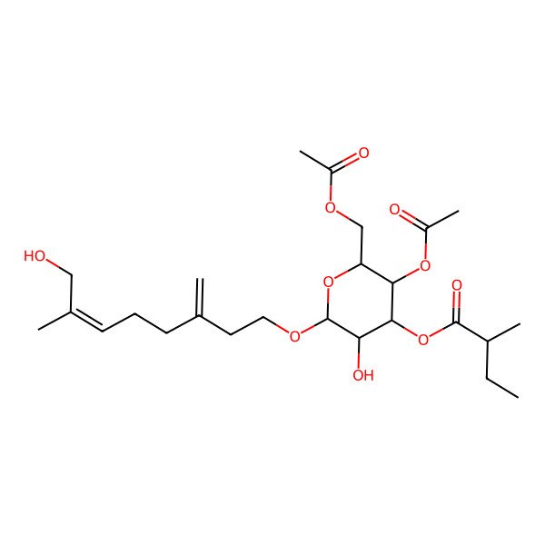 2D Structure of [(2R,3R,4R,5R,6R)-3-acetyloxy-2-(acetyloxymethyl)-5-hydroxy-6-[(Z)-8-hydroxy-7-methyl-3-methylideneoct-6-enoxy]oxan-4-yl] (2R)-2-methylbutanoate