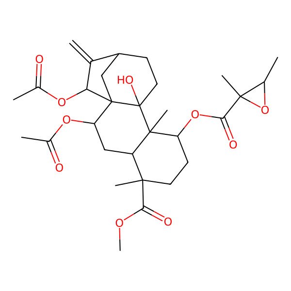 2D Structure of [(1R,2S,4S,5R,8R,9S,10R,13R,15R)-2,15-diacetyloxy-10-hydroxy-5-methoxycarbonyl-5,9-dimethyl-14-methylidene-8-tetracyclo[11.2.1.01,10.04,9]hexadecanyl] (2S,3R)-2,3-dimethyloxirane-2-carboxylate