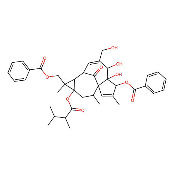 2D Structure of [(1S,4S,5S,6R,9S,10R,11R,12S,14R)-4-benzoyloxy-12-[(2R)-2,3-dimethylbutanoyl]oxy-5,6-dihydroxy-7-(hydroxymethyl)-3,11,14-trimethyl-15-oxo-11-tetracyclo[7.5.1.01,5.010,12]pentadeca-2,7-dienyl]methyl benzoate