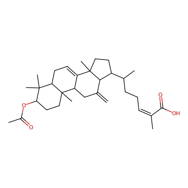 2D Structure of 6-(3-acetyloxy-4,4,10,14-tetramethyl-12-methylidene-2,3,5,6,9,11,13,15,16,17-decahydro-1H-cyclopenta[a]phenanthren-17-yl)-2-methylhept-2-enoic acid