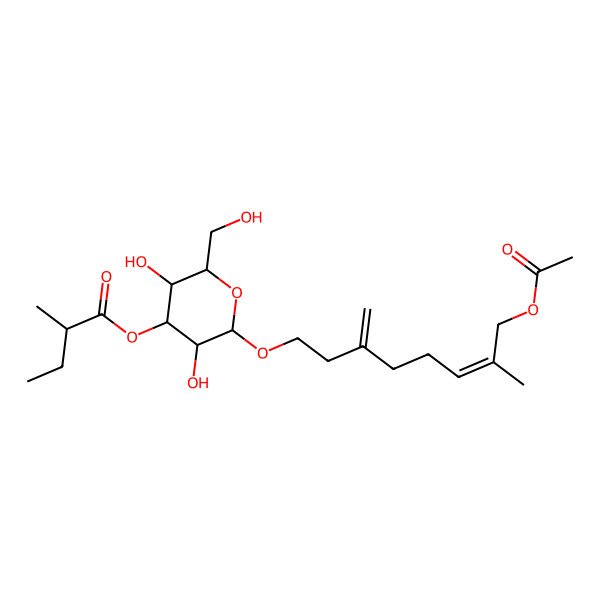 2D Structure of [2-(8-Acetyloxy-7-methyl-3-methylideneoct-6-enoxy)-3,5-dihydroxy-6-(hydroxymethyl)oxan-4-yl] 2-methylbutanoate