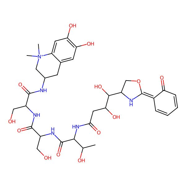 2D Structure of N-[(2S,3R)-1-[[(2R)-1-[[(2S)-1-[(6,7-dihydroxy-1,1-dimethyl-3,4-dihydro-2H-quinolin-1-ium-3-yl)amino]-3-hydroxy-1-oxopropan-2-yl]amino]-3-hydroxy-1-oxopropan-2-yl]amino]-3-hydroxy-1-oxobutan-2-yl]-3,4-dihydroxy-4-[2-(6-oxocyclohexa-2,4-dien-1-ylidene)-1,3-oxazolidin-4-yl]butanamide