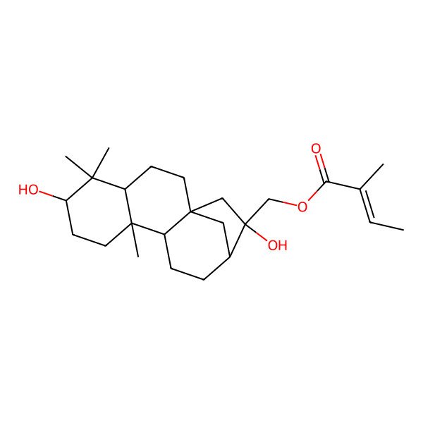 2D Structure of (6,14-Dihydroxy-5,5,9-trimethyl-14-tetracyclo[11.2.1.01,10.04,9]hexadecanyl)methyl 2-methylbut-2-enoate
