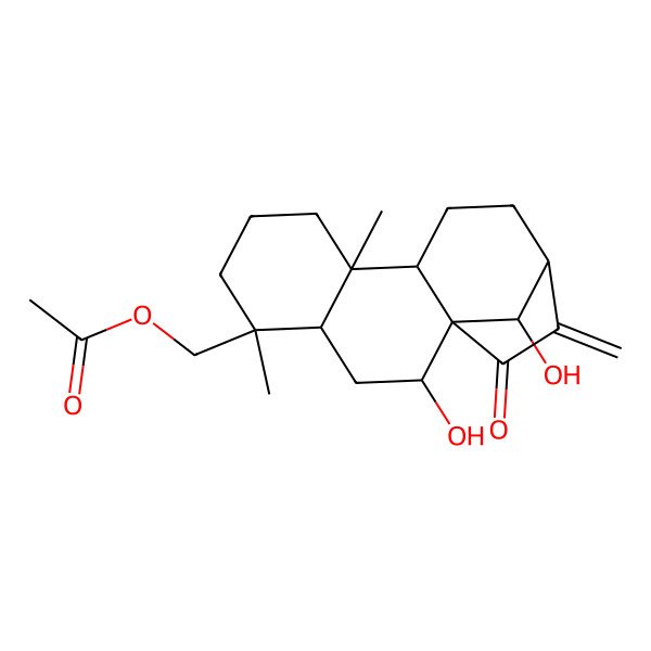 2D Structure of [(1R,2R,4S,5S,9R,10S,13S,16S)-2,16-dihydroxy-5,9-dimethyl-14-methylidene-15-oxo-5-tetracyclo[11.2.1.01,10.04,9]hexadecanyl]methyl acetate