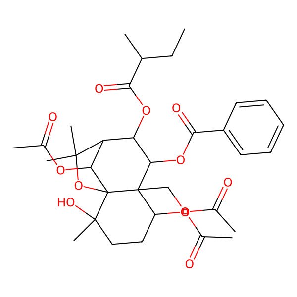 2D Structure of [(1S,2S,5S,6S,7S,8R,9R,12R)-5,12-diacetyloxy-6-(acetyloxymethyl)-2-hydroxy-2,10,10-trimethyl-8-[(2R)-2-methylbutanoyl]oxy-11-oxatricyclo[7.2.1.01,6]dodecan-7-yl] benzoate