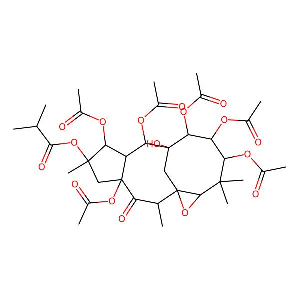 2D Structure of (4,7,9,11,12,13-Hexaacetyloxy-10-hydroxy-2,6,14,14-tetramethyl-3-oxo-16-oxatetracyclo[8.6.1.01,15.04,8]heptadecan-6-yl) 2-methylpropanoate