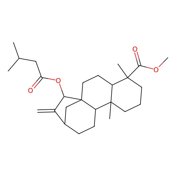 2D Structure of methyl (1R,4S,5S,9S,10S,13R,15S)-5,9-dimethyl-15-(3-methylbutanoyloxy)-14-methylidenetetracyclo[11.2.1.01,10.04,9]hexadecane-5-carboxylate