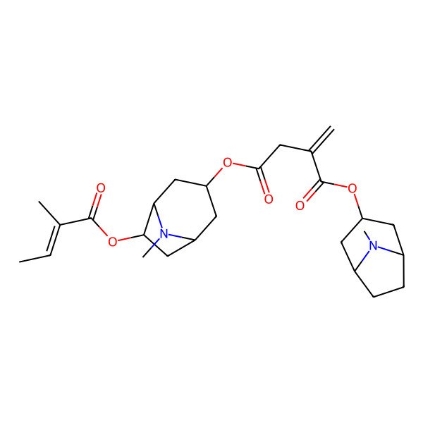 2D Structure of 1-O-(8-methyl-8-azabicyclo[3.2.1]octan-3-yl) 4-O-[8-methyl-6-(2-methylbut-2-enoyloxy)-8-azabicyclo[3.2.1]octan-3-yl] 2-methylidenebutanedioate