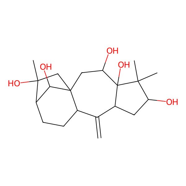 2D Structure of (1S,3R,4R,6R,8S,10S,13R,14R,16R)-5,5,14-trimethyl-9-methylidenetetracyclo[11.2.1.01,10.04,8]hexadecane-3,4,6,14,16-pentol