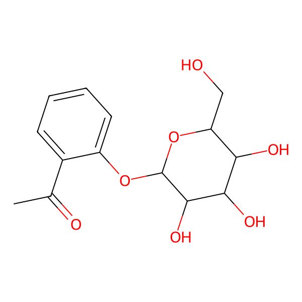 2D Structure of 1-[2-[(2S,3R,4S,5S,6R)-3,4,5-trihydroxy-6-(hydroxymethyl)oxan-2-yl]oxyphenyl]ethanone