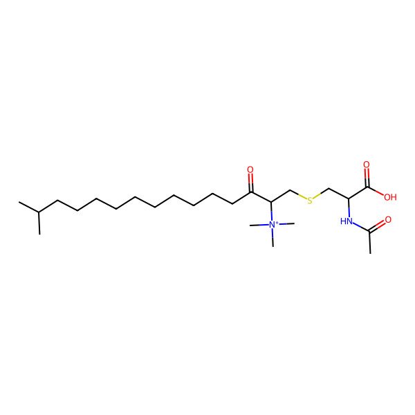 2D Structure of [1-(2-Acetamido-2-carboxyethyl)sulfanyl-14-methyl-3-oxopentadecan-2-yl]-trimethylazanium