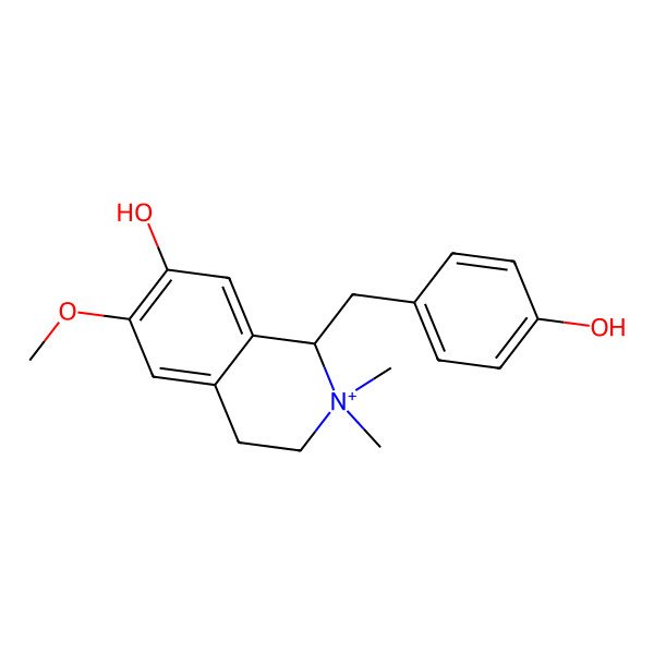 2D Structure of 1-[(4-hydroxyphenyl)methyl]-6-methoxy-2,2-dimethyl-3,4-dihydro-1H-isoquinolin-2-ium-7-ol