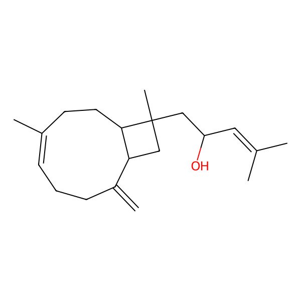 2D Structure of 1-(6,10-Dimethyl-2-methylidene-10-bicyclo[7.2.0]undec-5-enyl)-4-methylpent-3-en-2-ol