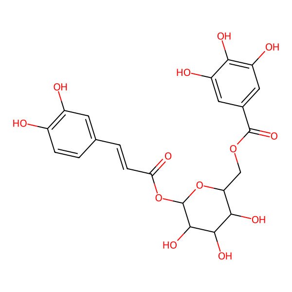 2D Structure of 1-O-caffeoyl-(6-O-galloyl)-beta-d-glucopyranose