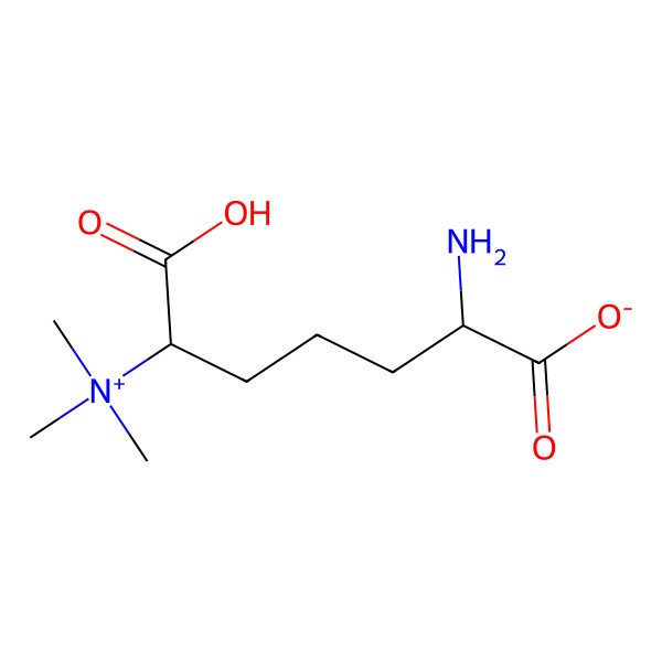 2D Structure of 1-Pentanaminium, 5-amino-1,5-dicarboxy-N,N,N-trimethyl-, inner salt