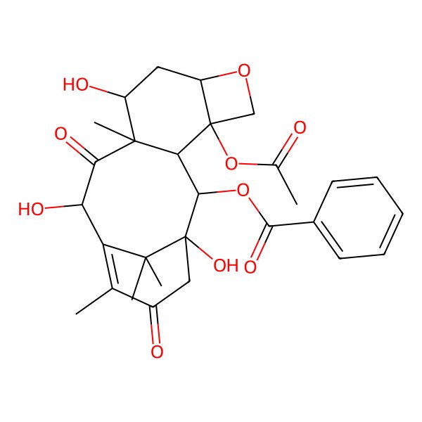 2D Structure of 10-deacetyl-13-oxobaccatin III 2D Structure of 10-deacetyl-13-oxobaccatin III