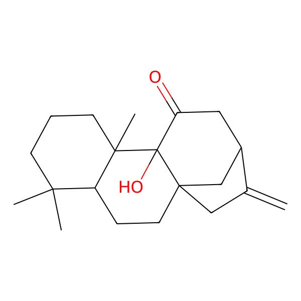2D Structure of 10-Hydroxy-5,5,9-trimethyl-14-methylidenetetracyclo[11.2.1.01,10.04,9]hexadecan-11-one