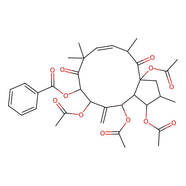 2D Structure of [(2S,5S,6E,10R,13aR)-1,3a,11,13-tetraacetyloxy-2,5,8,8-tetramethyl-12-methylidene-4,9-dioxo-1,2,3,5,10,11,13,13a-octahydrocyclopenta[12]annulen-10-yl] benzoate