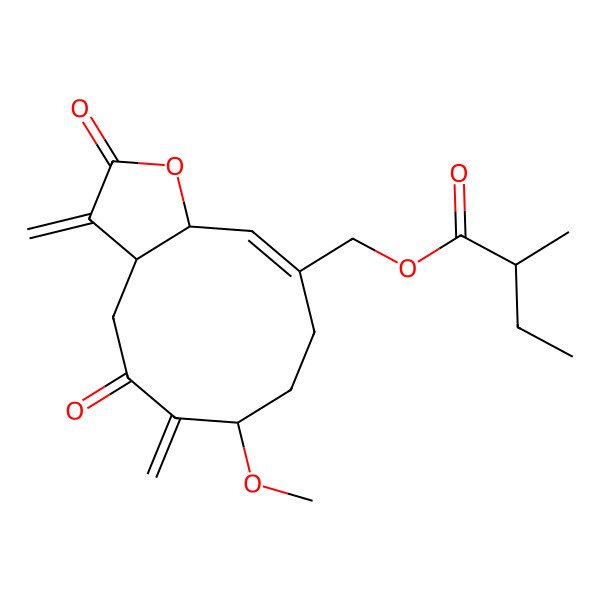 2D Structure of (7-Methoxy-3,6-dimethylidene-2,5-dioxo-3a,4,7,8,9,11a-hexahydrocyclodeca[b]furan-10-yl)methyl 2-methylbutanoate