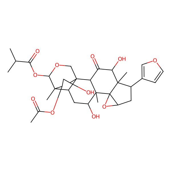 2D Structure of [(1S,2R,4R,5R,6S,8R,10S,11S,12R,14R,15S,16S,19S,21R)-21-acetyloxy-6-(furan-3-yl)-4,12,19-trihydroxy-5,11,15-trimethyl-3-oxo-9,17-dioxahexacyclo[13.3.3.01,14.02,11.05,10.08,10]henicosan-16-yl] 2-methylpropanoate