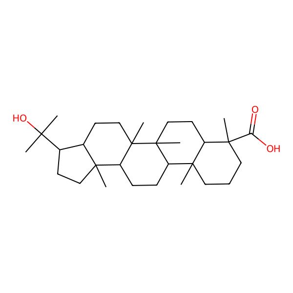 2D Structure of (3S,3aS,5aR,5bR,7aR,8R,11aR,11bR,13aR,13bS)-3-(2-hydroxypropan-2-yl)-5a,5b,8,11a,13b-pentamethyl-1,2,3,3a,4,5,6,7,7a,9,10,11,11b,12,13,13a-hexadecahydrocyclopenta[a]chrysene-8-carboxylic acid