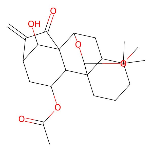 2D Structure of (18-Hydroxy-16-methoxy-12,12-dimethyl-6-methylidene-7-oxo-17-oxapentacyclo[7.6.2.15,8.01,11.02,8]octadecan-3-yl) acetate