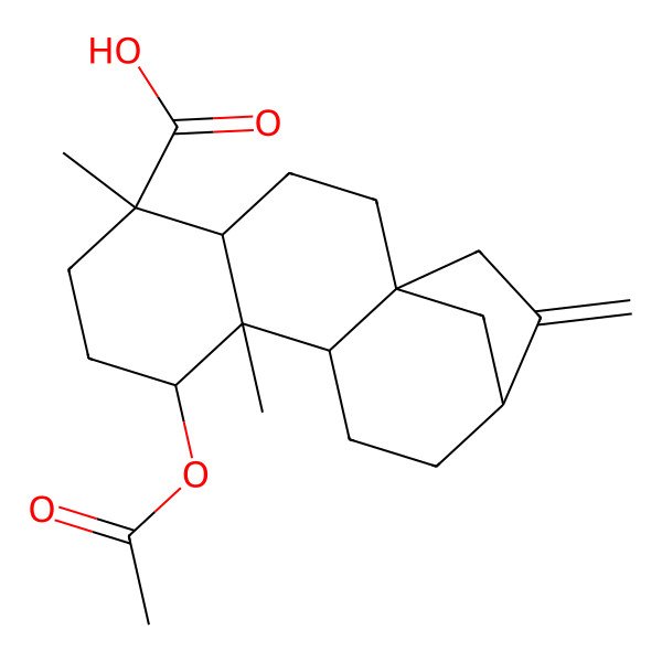 2D Structure of (1S,4S,5R,8R,9S,10R,13R)-8-acetyloxy-5,9-dimethyl-14-methylidenetetracyclo[11.2.1.01,10.04,9]hexadecane-5-carboxylic acid