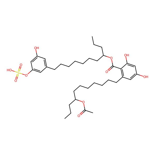2D Structure of 11-(3-Hydroxy-5-sulfooxyphenyl)undecan-4-yl 2-(8-acetyloxyundecyl)-4,6-dihydroxybenzoate