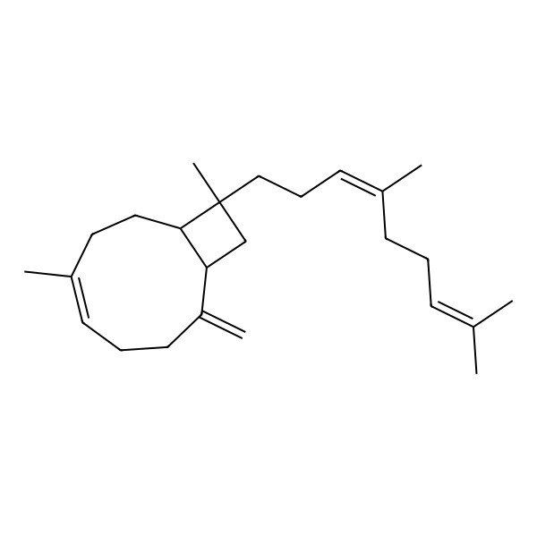 2D Structure of 11-(4,8-Dimethylnona-3,7-dienyl)-4,11-dimethyl-8-methylidenebicyclo[7.2.0]undec-4-ene