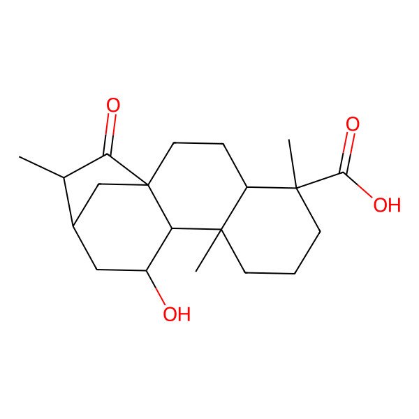 2D Structure of 11-Hydroxy-5,9,14-trimethyl-15-oxotetracyclo[11.2.1.01,10.04,9]hexadecane-5-carboxylic acid