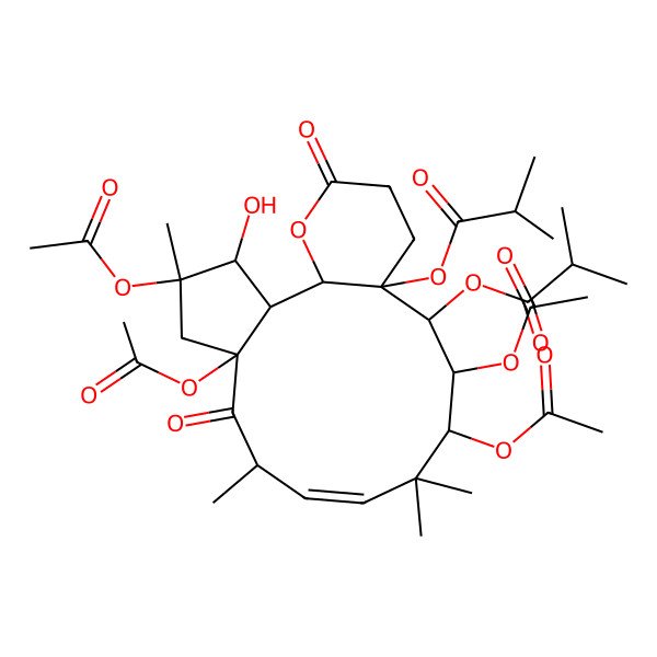 2D Structure of [4,6,12,13-Tetraacetyloxy-3-hydroxy-4,8,11,11-tetramethyl-15-(2-methylpropanoyloxy)-7,18-dioxo-19-oxatricyclo[13.4.0.02,6]nonadec-9-en-14-yl] 2-methylpropanoate