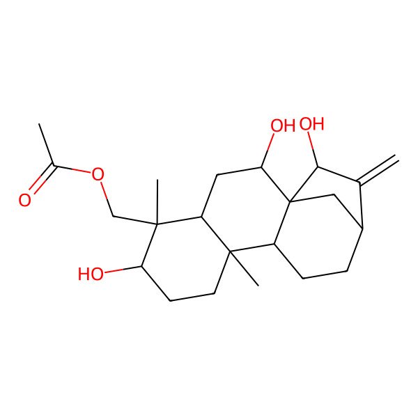 2D Structure of [(1R,2S,4S,5S,6R,9R,10S,13R,15S)-2,6,15-trihydroxy-5,9-dimethyl-14-methylidene-5-tetracyclo[11.2.1.01,10.04,9]hexadecanyl]methyl acetate
