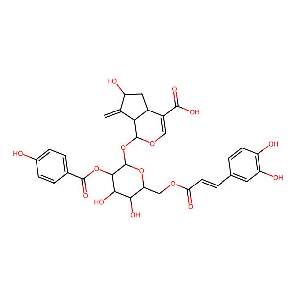 2D Structure of (1S,4aS,6S,7aS)-1-[(2S,3R,4S,5S,6R)-6-[[(E)-3-(3,4-dihydroxyphenyl)prop-2-enoyl]oxymethyl]-4,5-dihydroxy-3-(4-hydroxybenzoyl)oxyoxan-2-yl]oxy-6-hydroxy-7-methylidene-4a,5,6,7a-tetrahydro-1H-cyclopenta[c]pyran-4-carboxylic acid