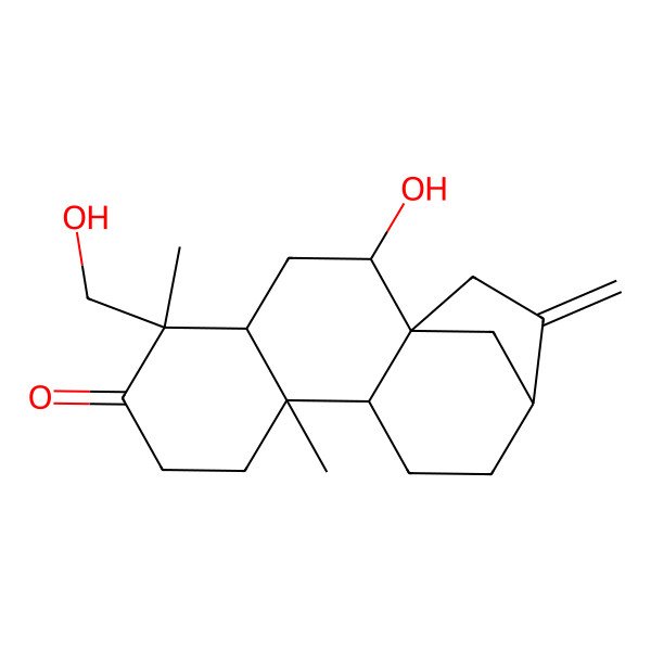 2D Structure of (1R,2S,4S,5S,9S,10S,13R)-2-hydroxy-5-(hydroxymethyl)-5,9-dimethyl-14-methylidenetetracyclo[11.2.1.01,10.04,9]hexadecan-6-one