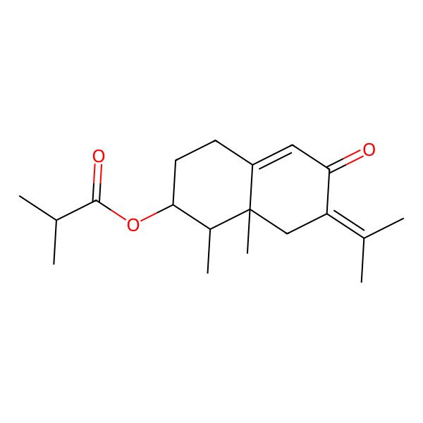 2D Structure of [(1R,2R,8aR)-1,8a-dimethyl-6-oxo-7-propan-2-ylidene-2,3,4,8-tetrahydro-1H-naphthalen-2-yl] 2-methylpropanoate
